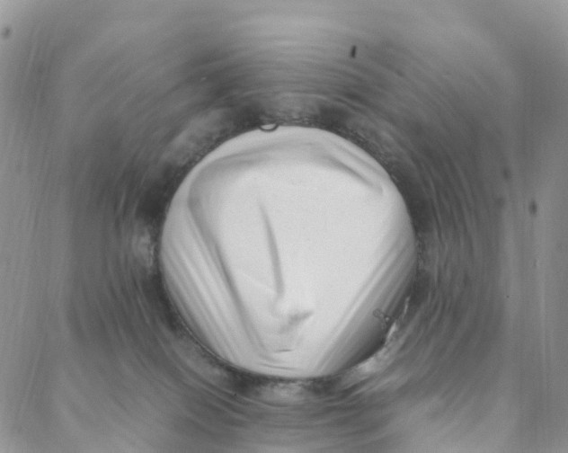 X0000088360086200706121106
