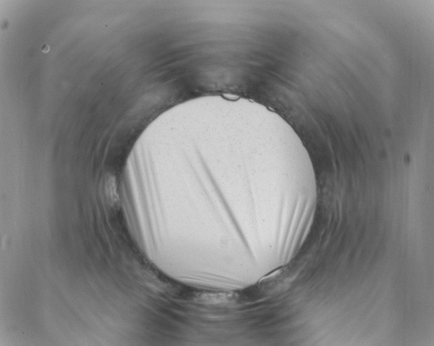 X0000088360089200706121106