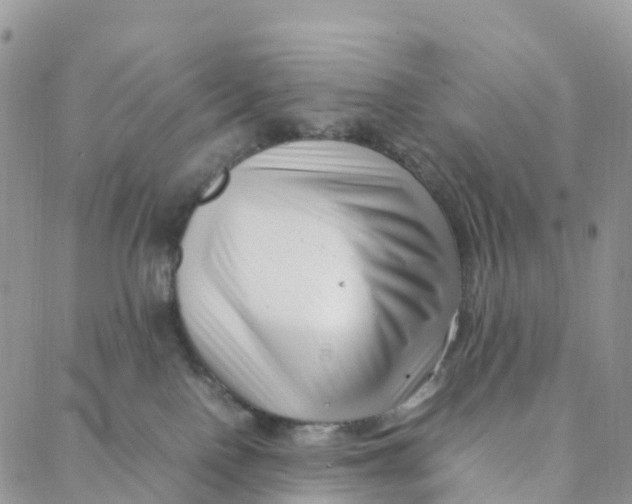 X0000088360090200706121106