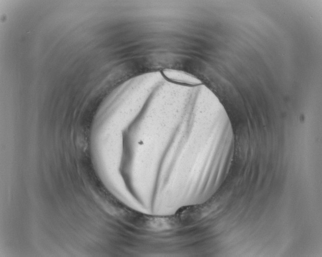 X0000088360091200706121106