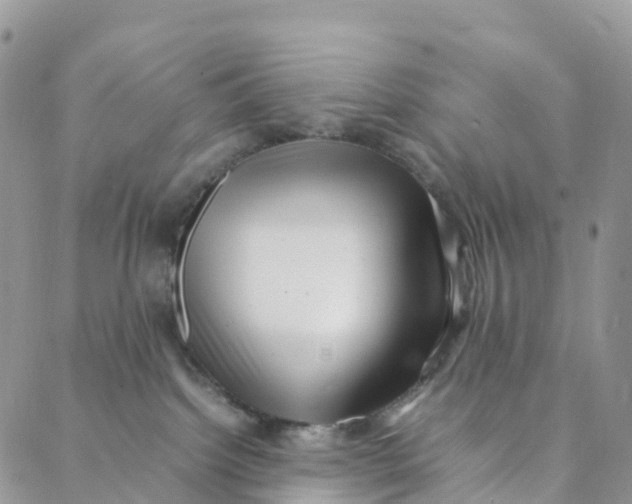 X0000088360092200706121106