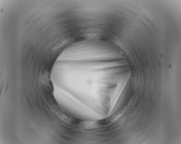 X0000088360093200706121106