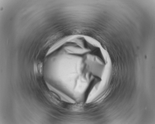 X0000088360094200706121106