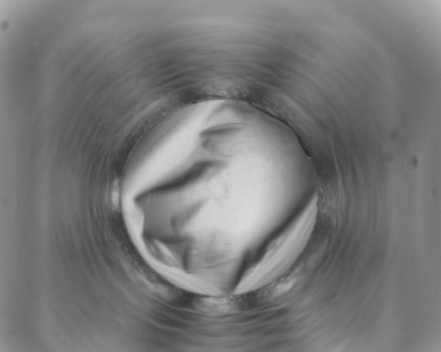 X0000088360095200706121106