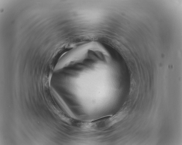 X0000088360096200706121106