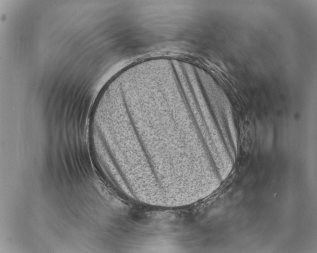 X0000088360100200706121105