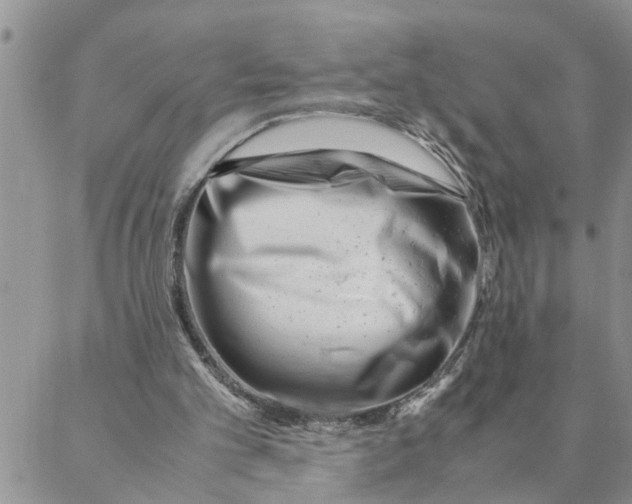 X0000088360101200706121105