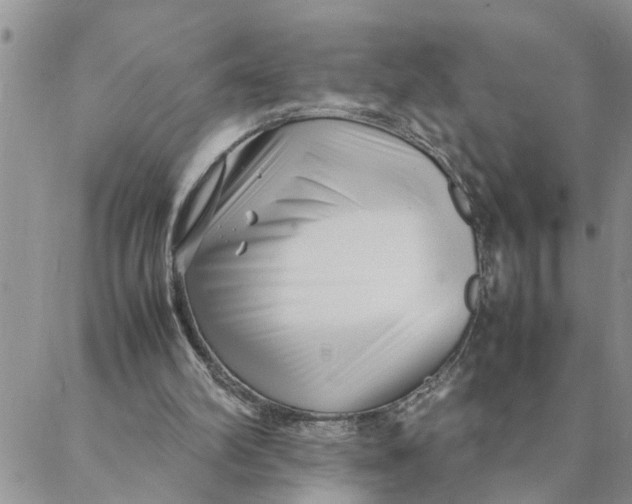 X0000088360102200706121105