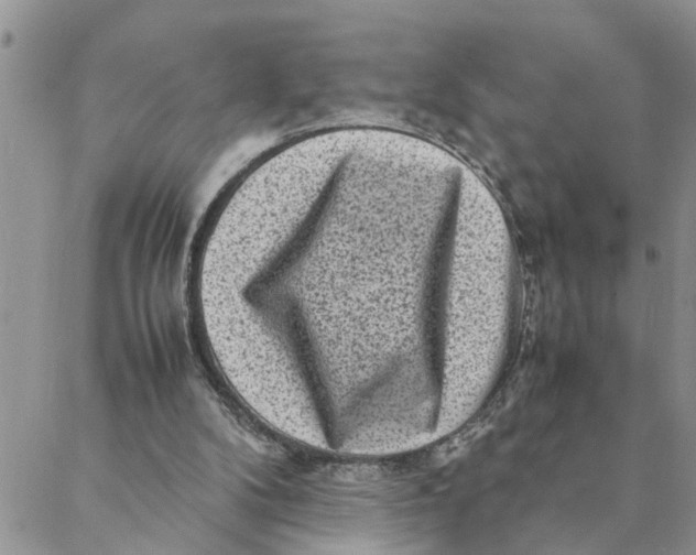 X0000088360104200706121105