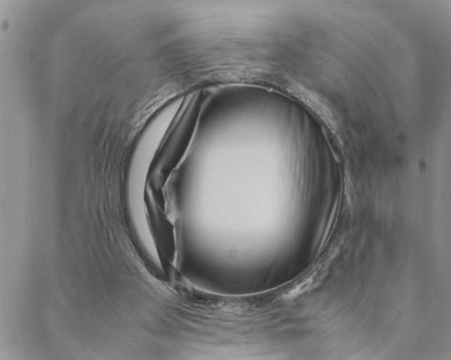 X0000088360105200706121105