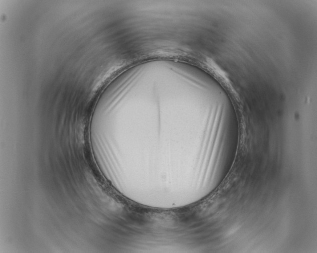 X0000088360106200706121105
