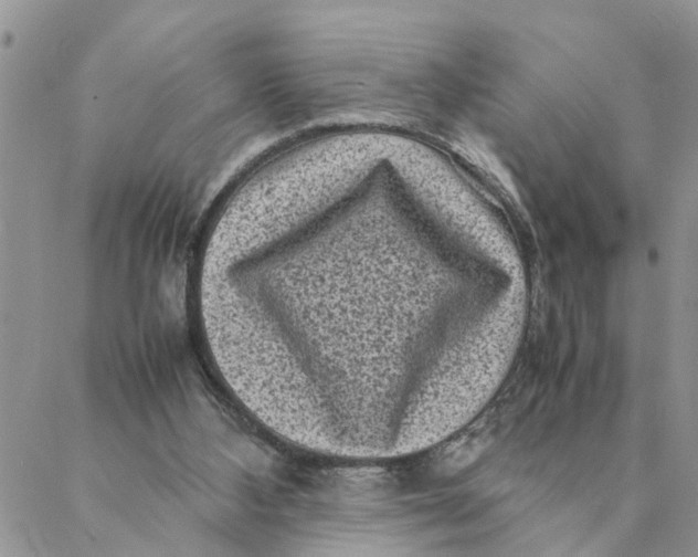 X0000088360108200706121105