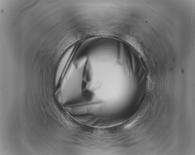 X0000088360109200706121105