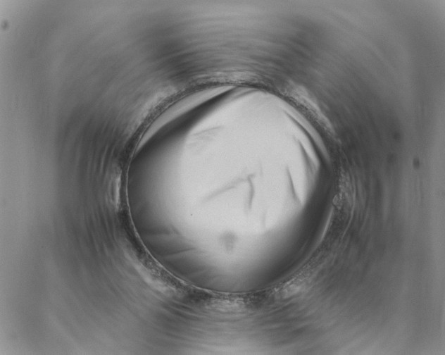X0000088360110200706121105
