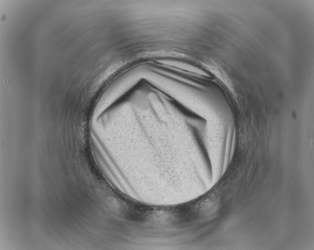 X0000088360111200706121105