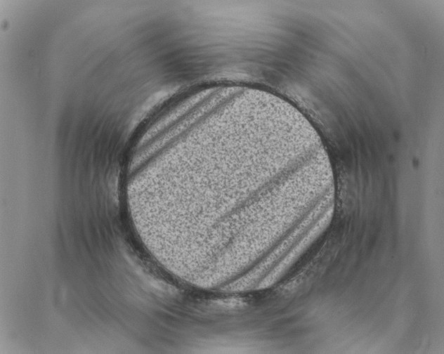X0000088360112200706121105
