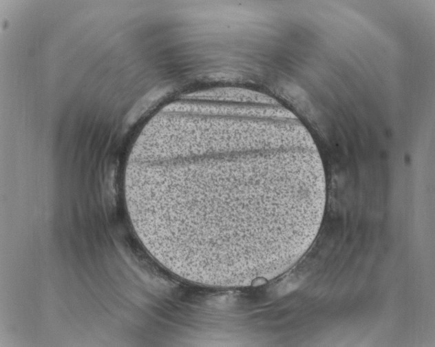 X0000088360116200706121105