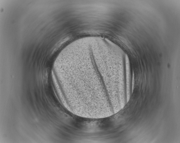 X0000088360120200706121105