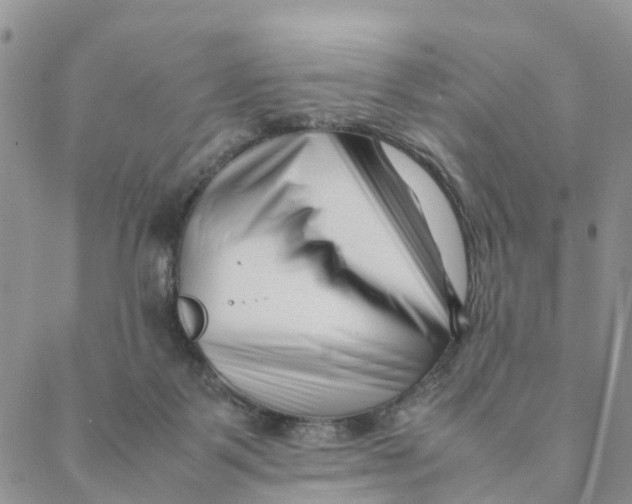 X0000088360123200706121105