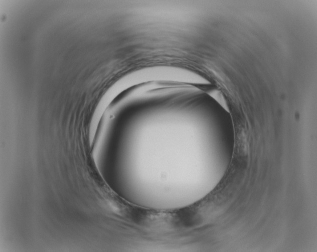X0000088360125200706121105