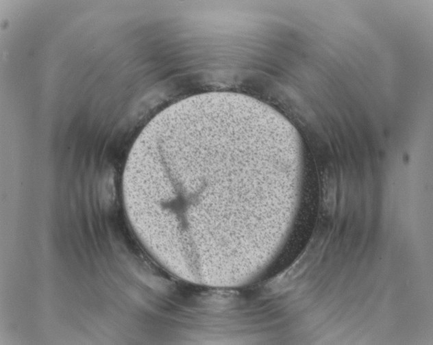 X0000088360128200706121105