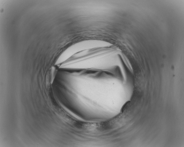 X0000088360131200706121104