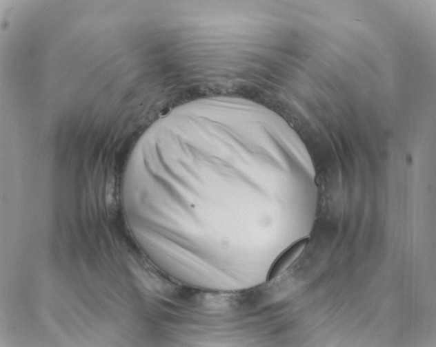 X0000088360134200706121104