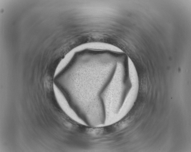X0000088360135200706121104