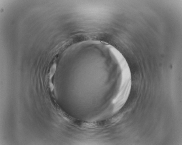X0000088360139200706121104