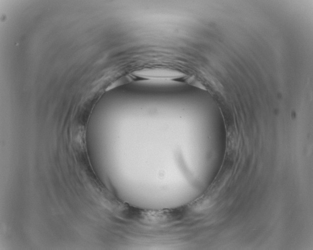 X0000088360141200706121104