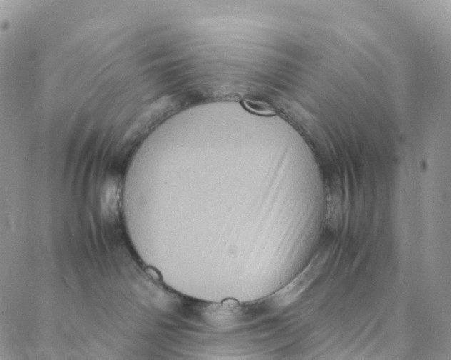 X0000088360142200706121104
