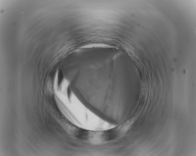 X0000088360143200706121104
