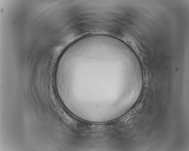 X0000088360145200706121103