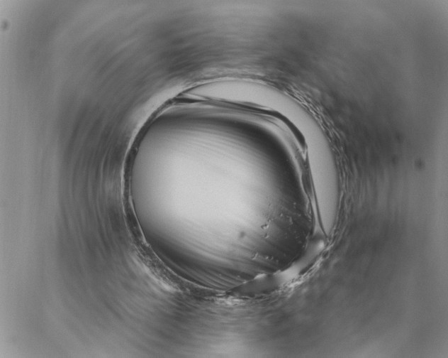 X0000088360148200706121104