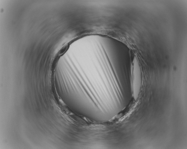 X0000088360150200706121104
