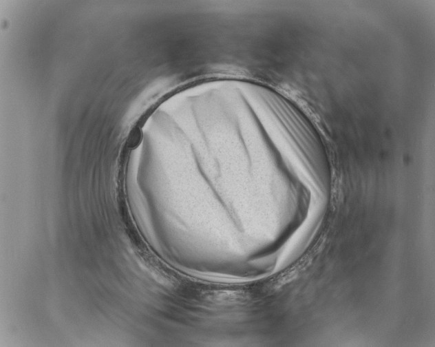 X0000088360151200706121104