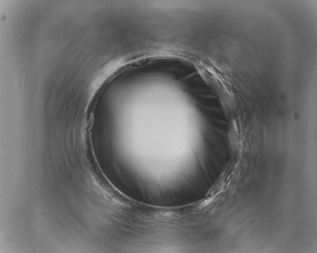 X0000088360152200706121104