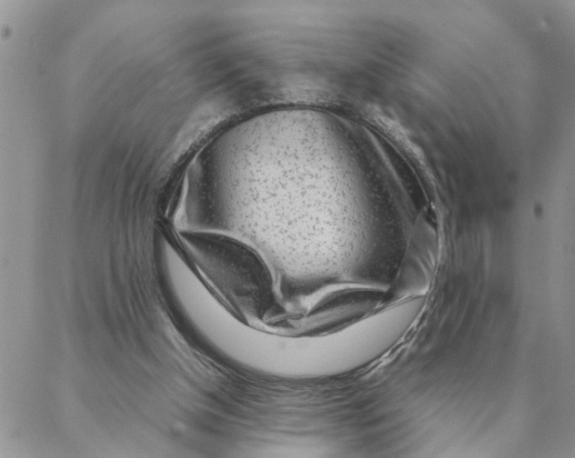 X0000088360154200706121104