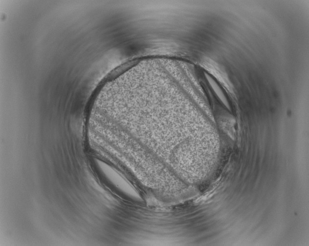 X0000088360156200706121104