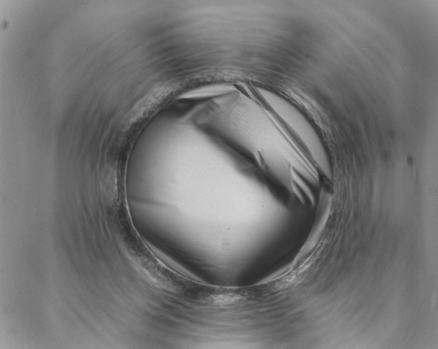 X0000088360158200706121104