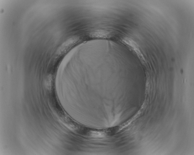X0000088360167200706121104