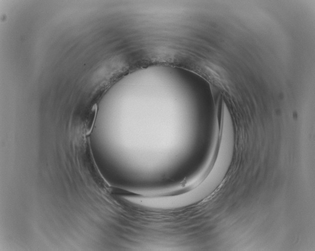 X0000088360172200706121104
