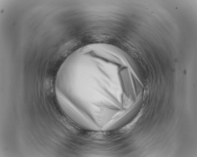 X0000088360182200706121104