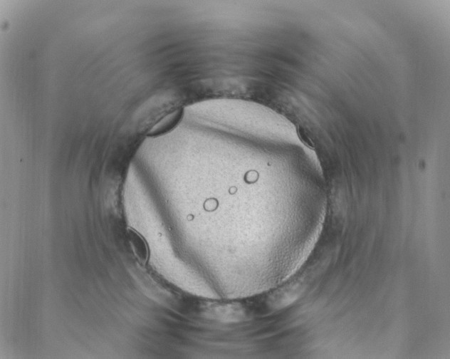 X0000088360185200706121104