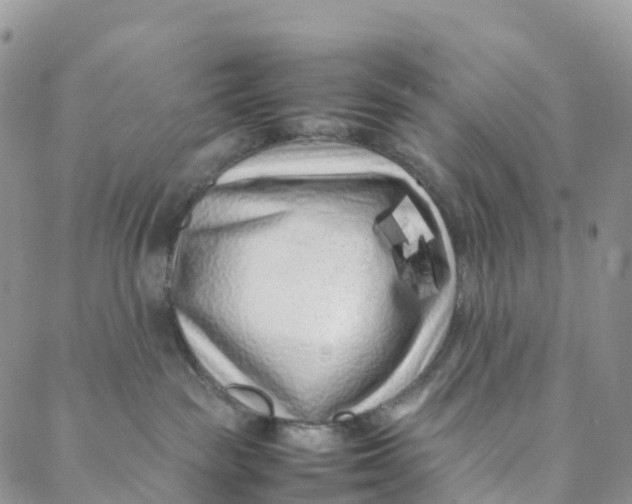 X0000088360189200706121104