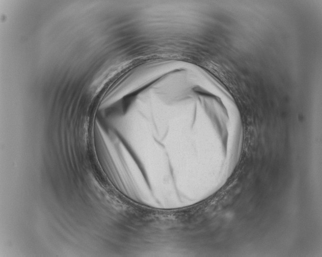 X0000088360194200706121103