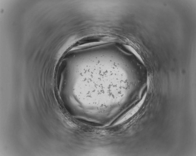 X0000088360195200706121103