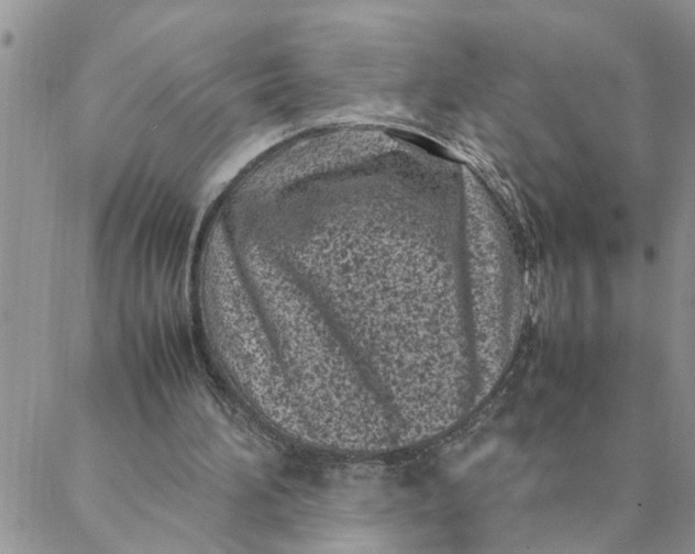 X0000088360196200706121103