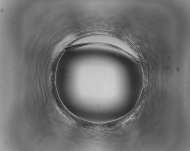 X0000088360197200706121103