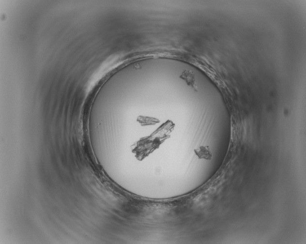 X0000088360198200706121103